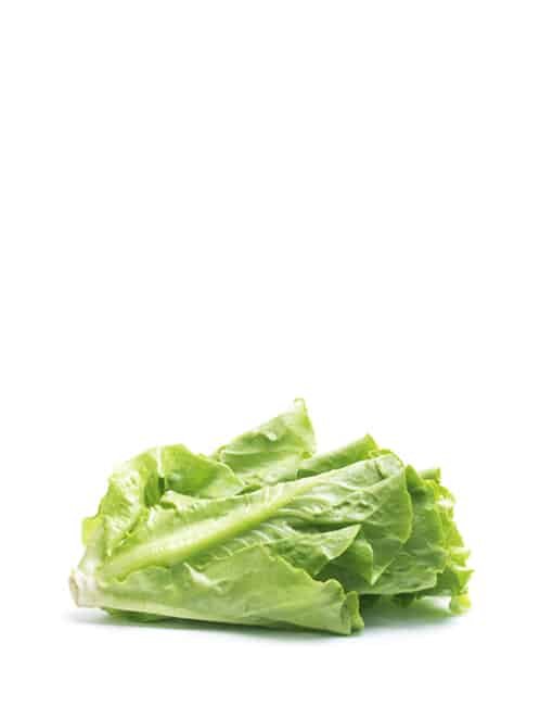 product13 free img.jpg