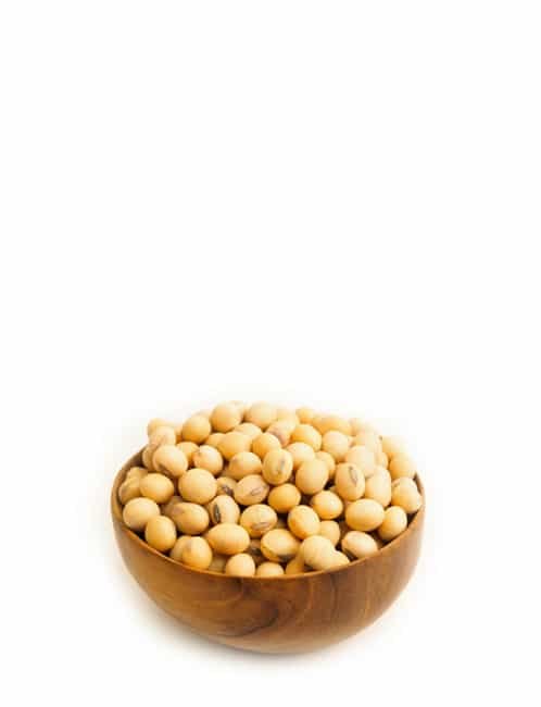 product17 free img.jpg